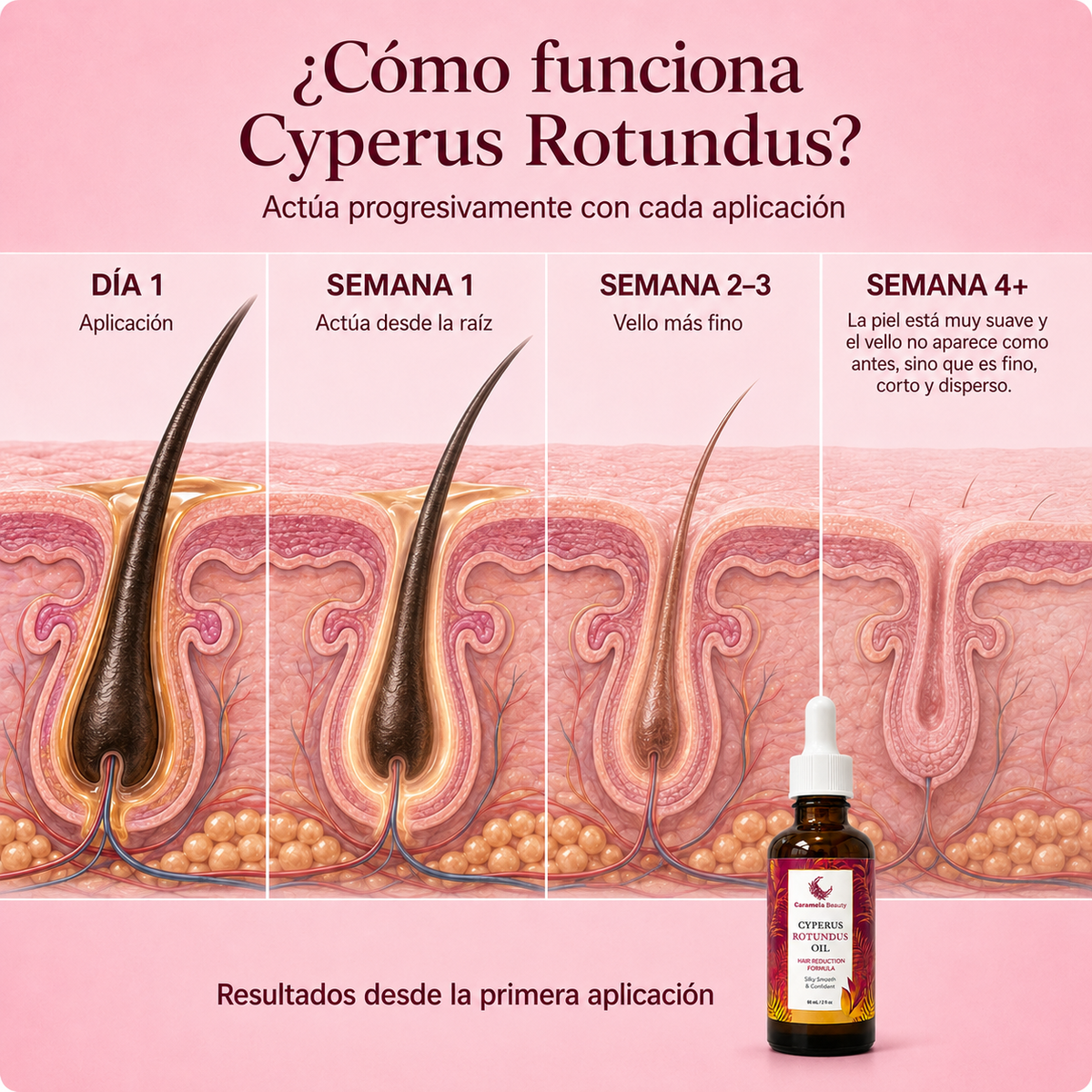 Aceite Anti-Vello Cyperus Rotundus®